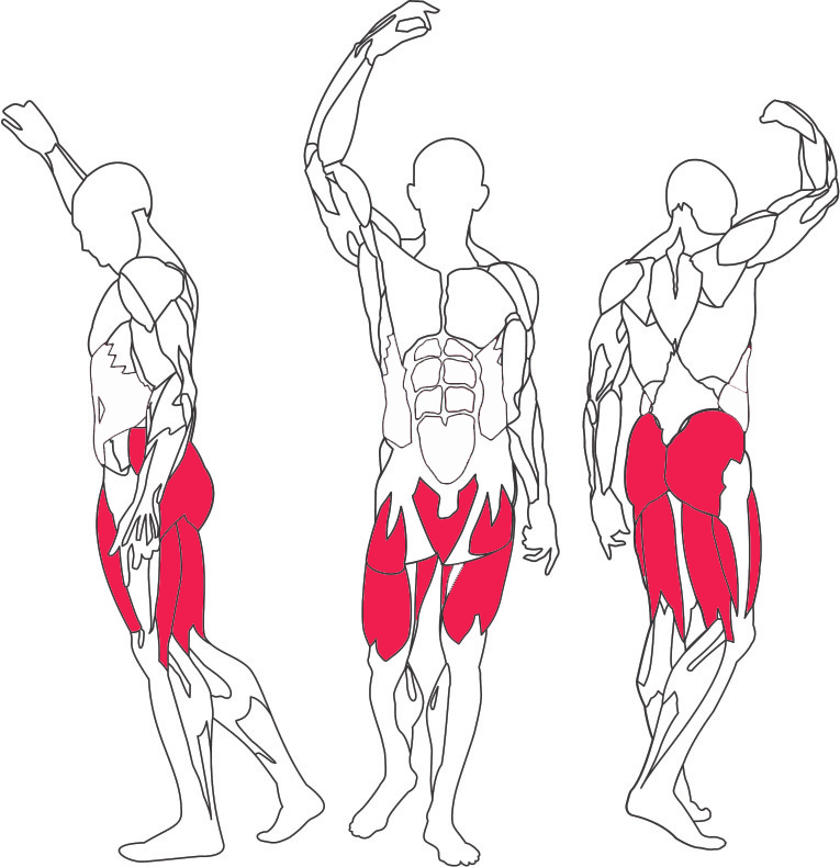 PRESSE LEG 050 - BH FITNESS – Image 2