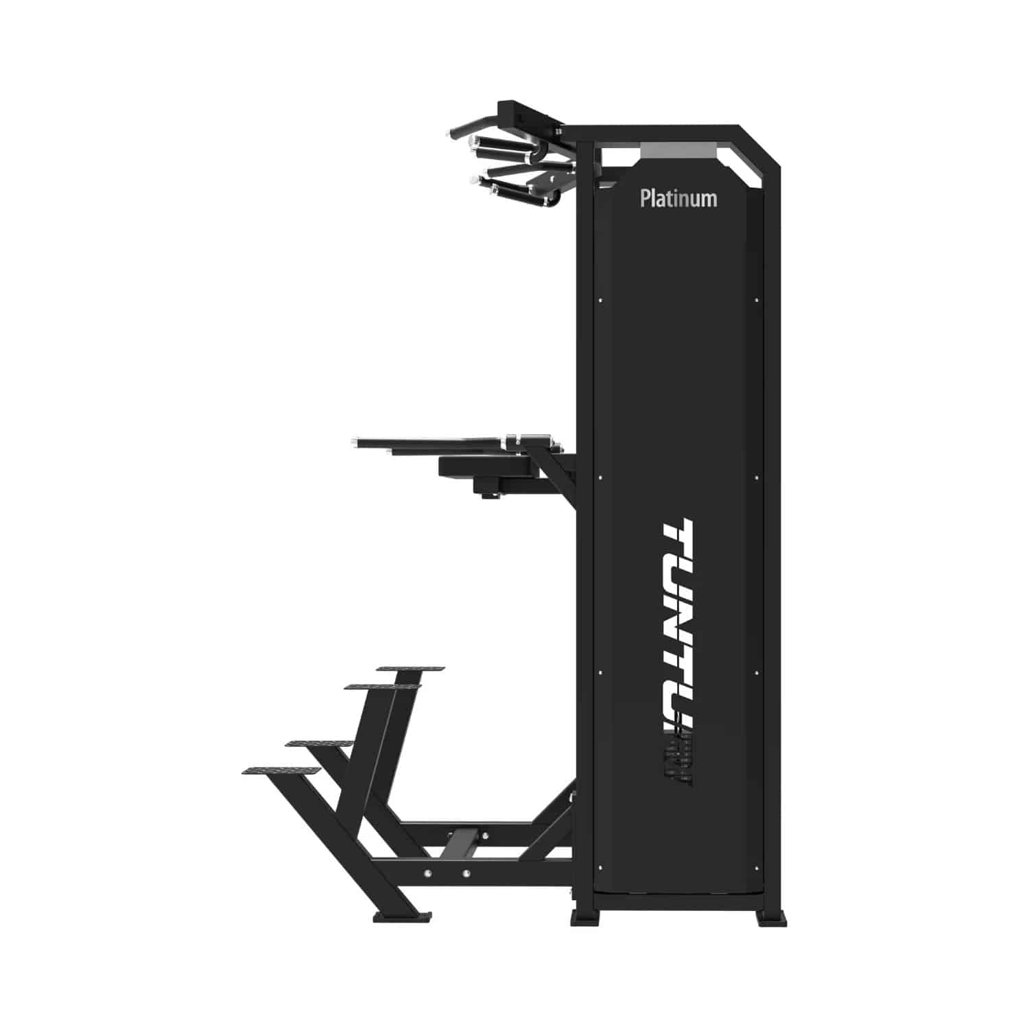 Gollé Médical - V-Series Dual Assisted Up & Dip Tunturi Platinum